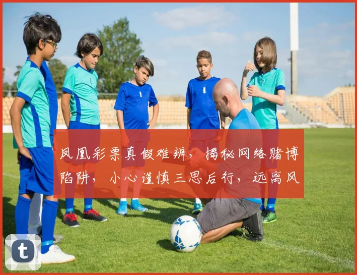 凤凰彩票真假难辨，揭秘网络赌博陷阱，小心谨慎三思后行，远离风险。