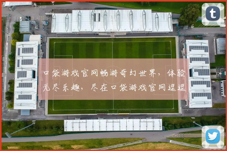 口袋游戏官网畅游奇幻世界，体验无尽乐趣，尽在口袋游戏官网逗逗逗