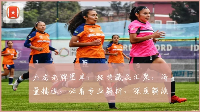 九龙老牌图库，经典藏品汇聚，海量精选，必看专业解析，深度解读，收藏必备。