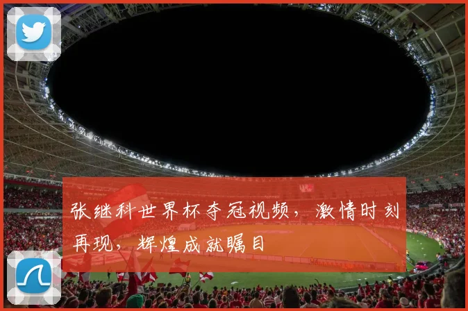 张继科世界杯夺冠视频，激情时刻再现，辉煌成就瞩目